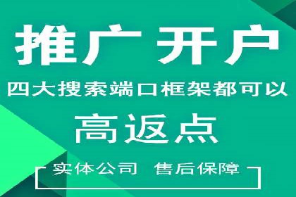 SEM搜索引擎优化实战案例：从失败到成功的优化历程