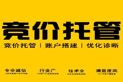百度搜索优化：成功案例分析及策略解析
